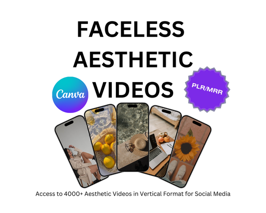 PLR 4000+ Faceless Aesthetic Videos - Reels Mega bundle - for Instagram or Tiktok